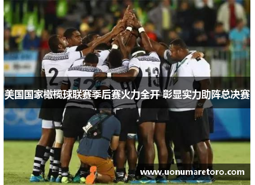 美国国家橄榄球联赛季后赛火力全开 彰显实力助阵总决赛